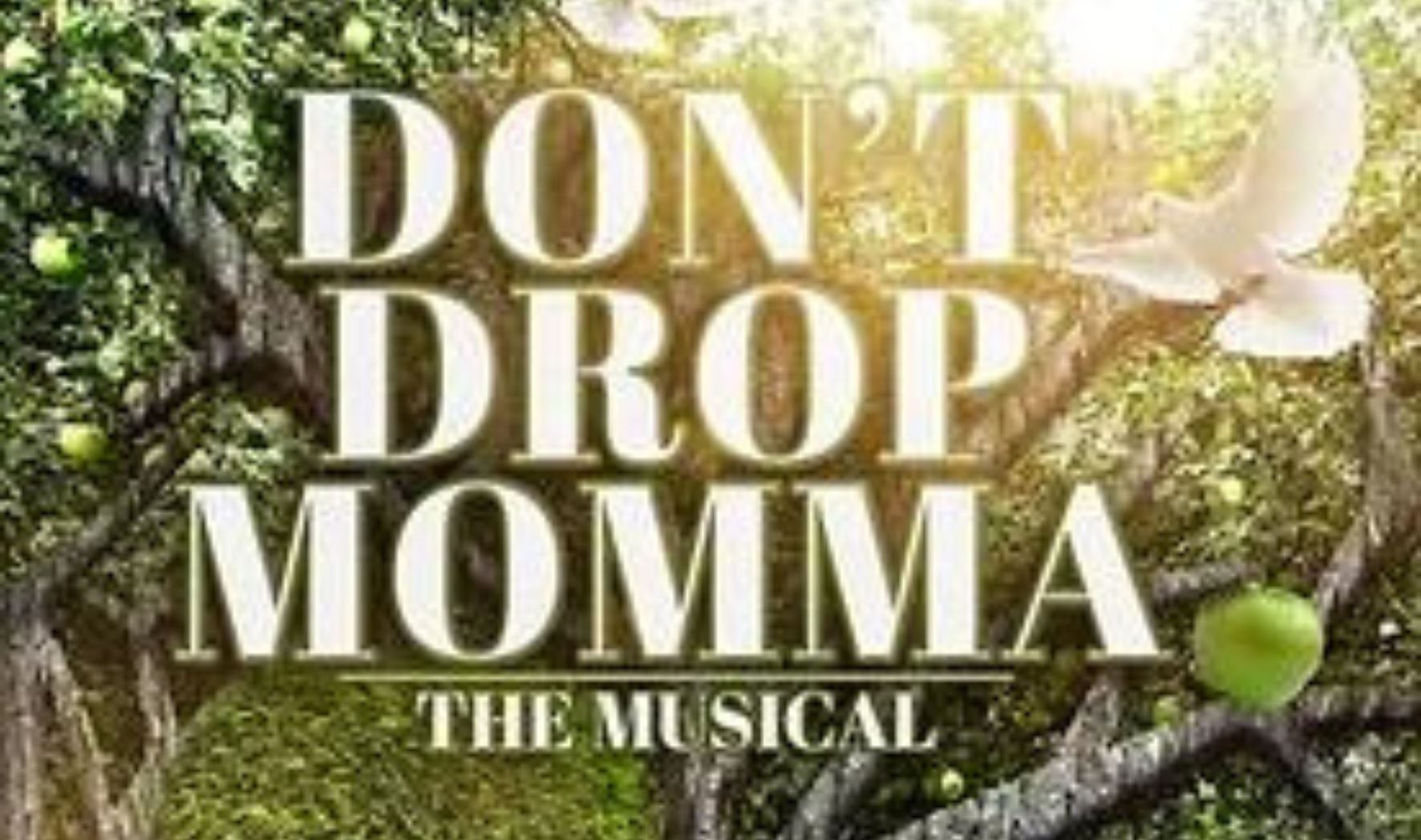 More Info for Don't Drop Momma