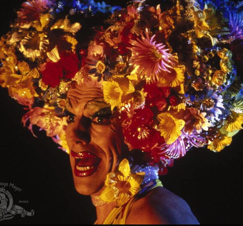 The Adventures of Priscilla, Queen of the Desert: Why It Still